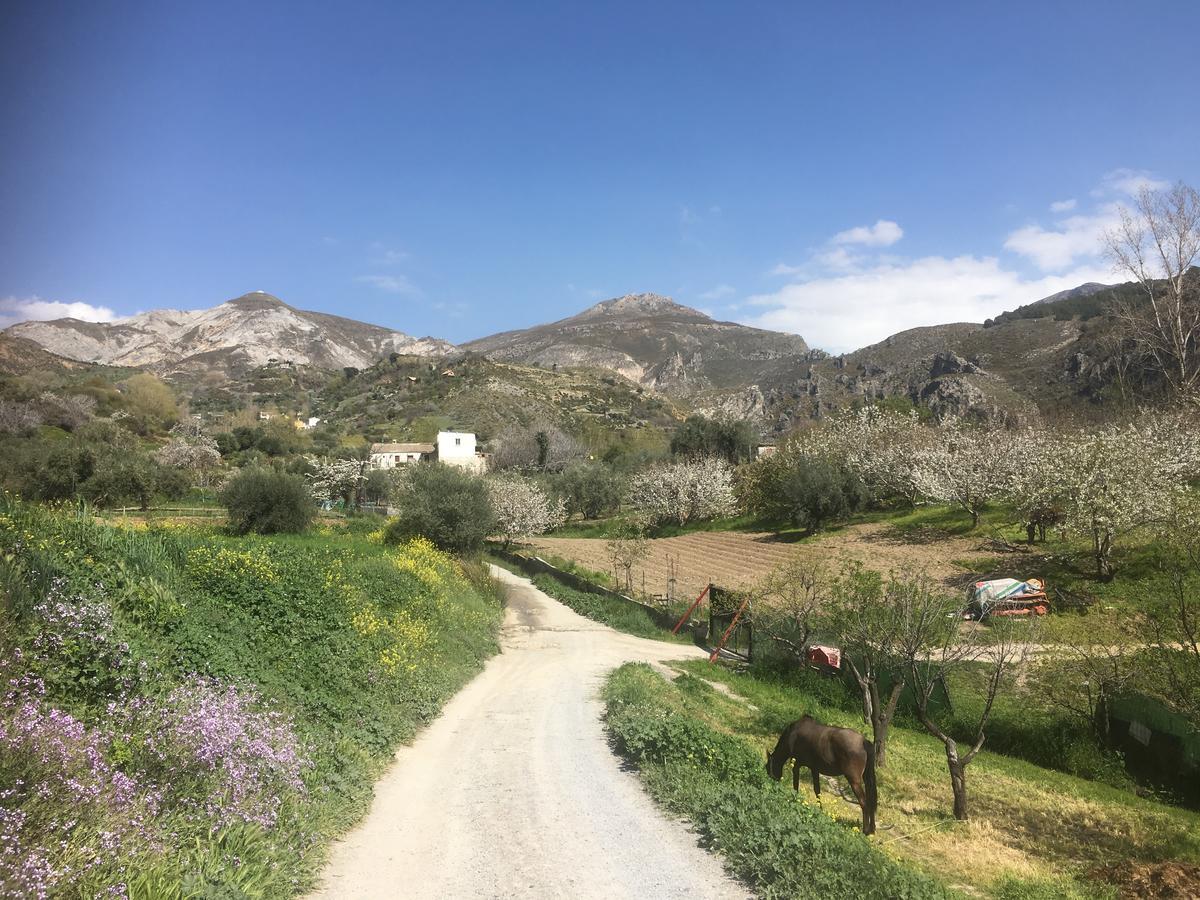Hotel Rural Fuente La Teja Guejar Sierra Extérieur photo